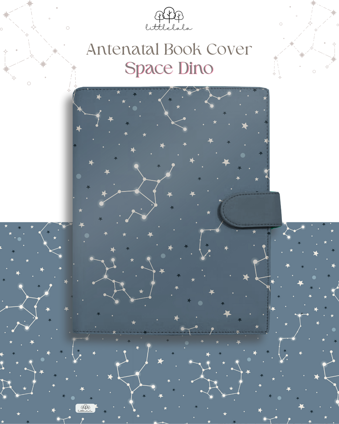 PREORDER Antenatal Book Cover - Space Dino Series