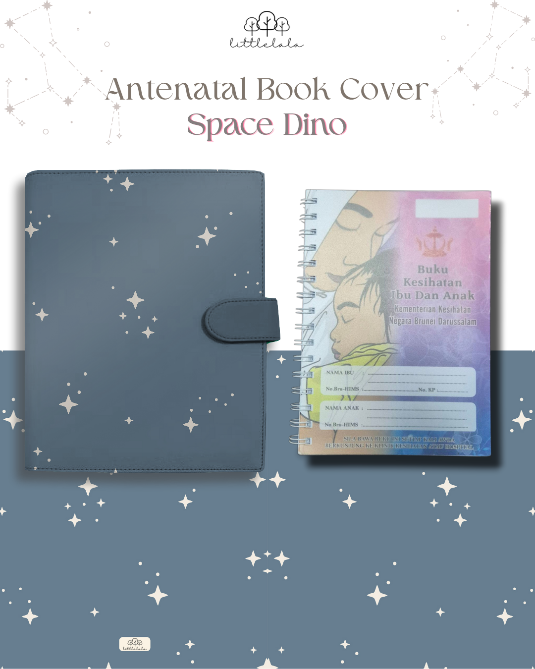 PREORDER Antenatal Book Cover - Space Dino Series