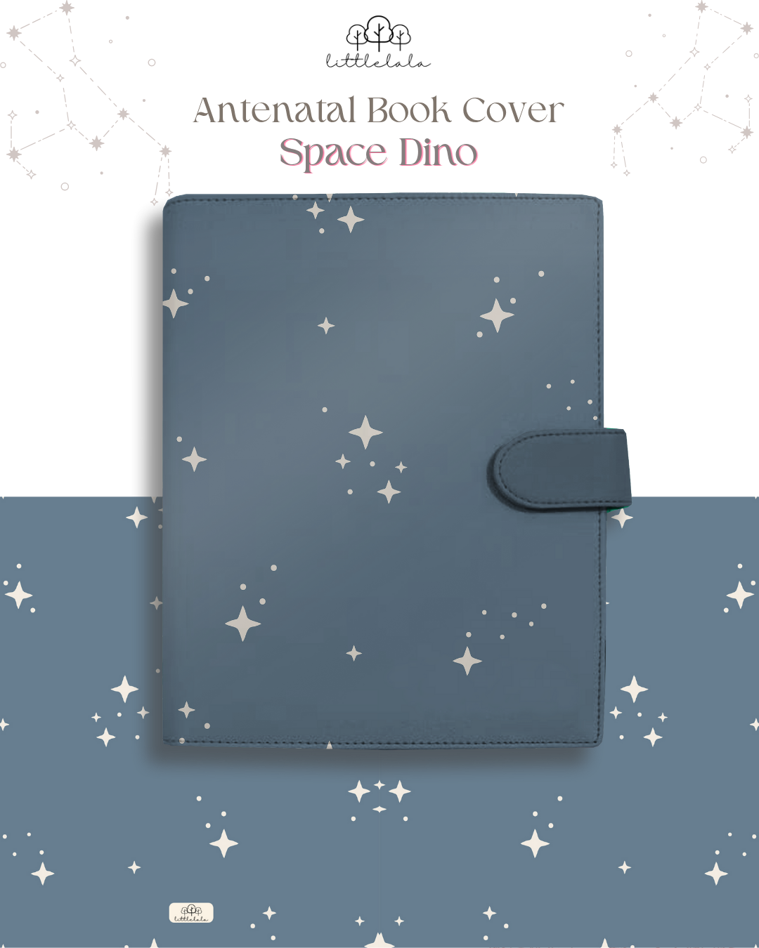 PREORDER Antenatal Book Cover - Space Dino Series