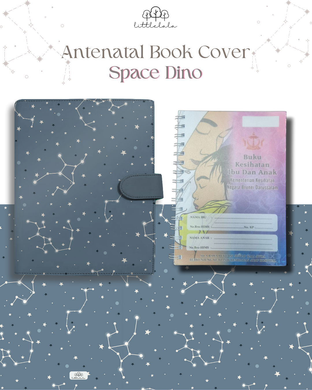 PREORDER Antenatal Book Cover - Space Dino Series