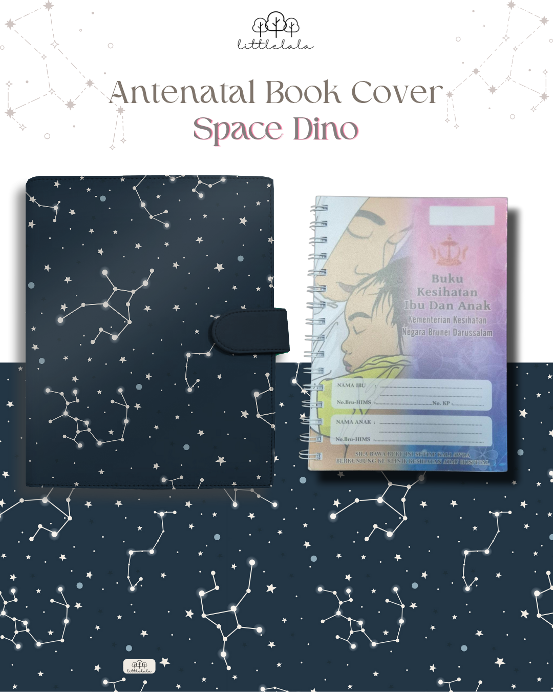 PREORDER Antenatal Book Cover - Space Dino Series